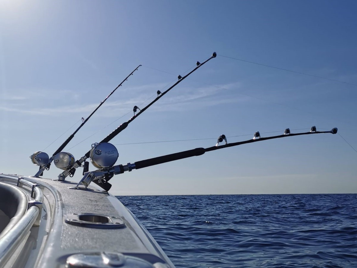 trmtrs-bent-in-bow